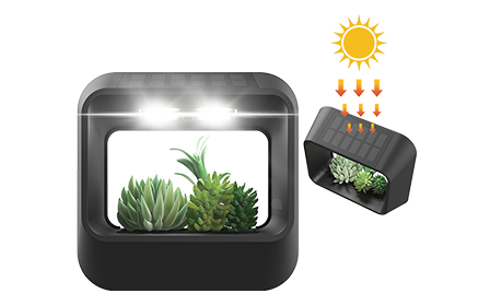 solar wall light