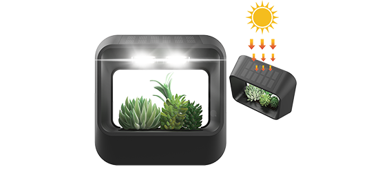 solar wall lamps outdoor