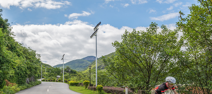 solar powered street lamp