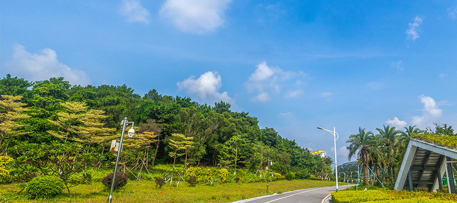 solar street lamp