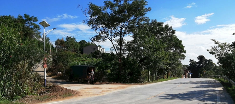 solar street lamp